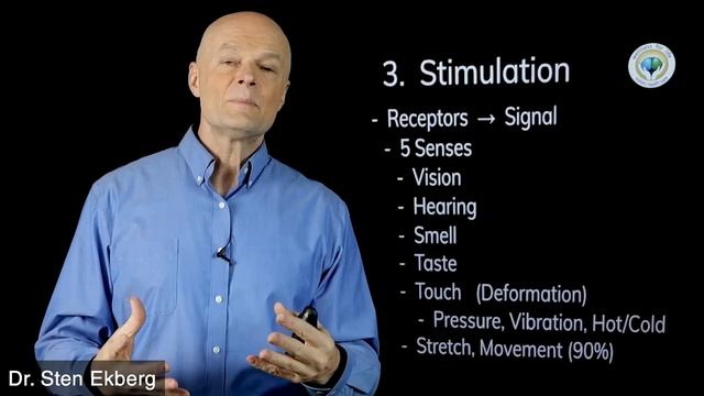 Preventing Dementia: Expert Tips From A Doctor! смотреть онлайн