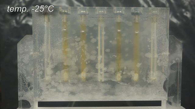 Test Przepływu 5W40 Temp. +20°C I -25°C Motul X-Cess 5W40 Vs Motul X-Clean 5W40