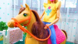 Мы же подруги! Барби свалилась с лошади! Видео для девочек про Куклы Барби и Кен