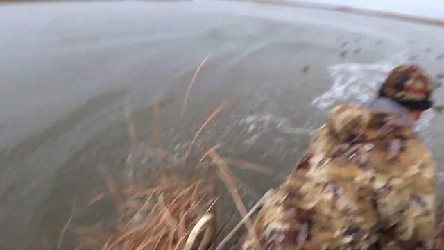 подготовка к охоте на утку !!!! смотреть онлайн