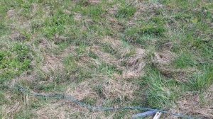 вертикал ч.2