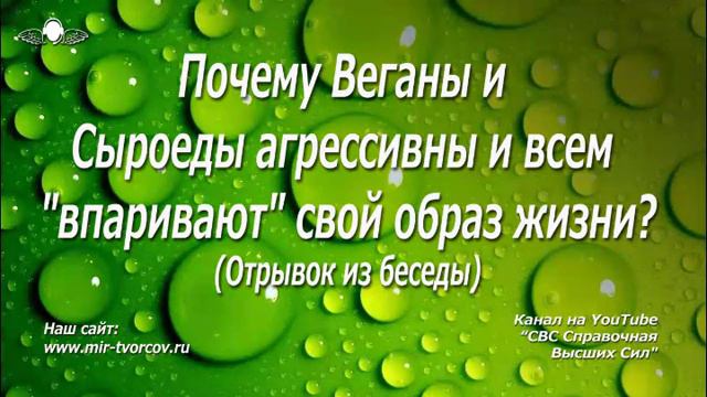 603 Почему веганы и сыроеды агрессивны и всем "впаривают" свой образ жизни. (Отрывок из беседы) смотреть онлайн