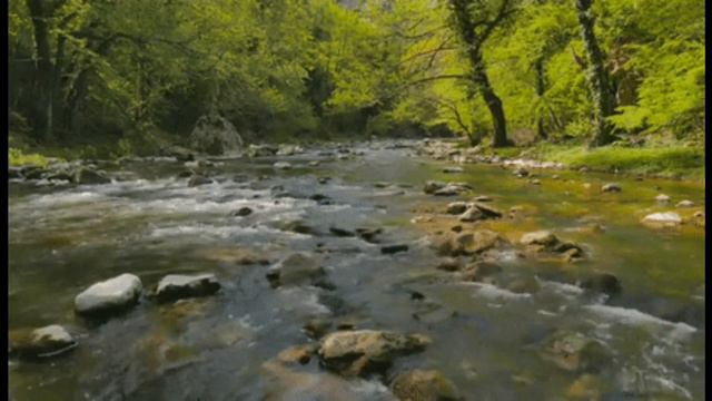 Sounds of nature. Mountain river. Звуки природы. Горная река. смотреть онлайн