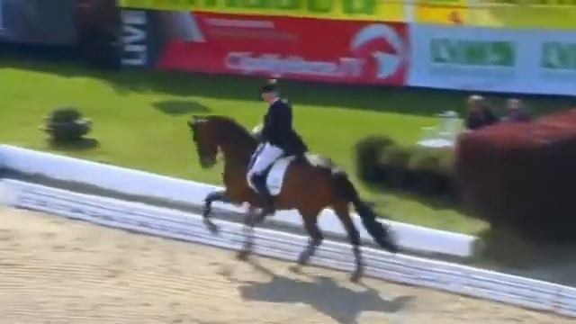 Hubertus Schmidt & Imperio,Hagen CDI4* 2017