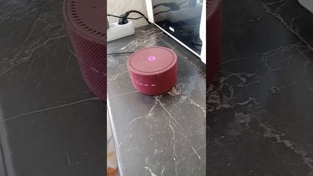 обзор на Алису смотреть онлайн
