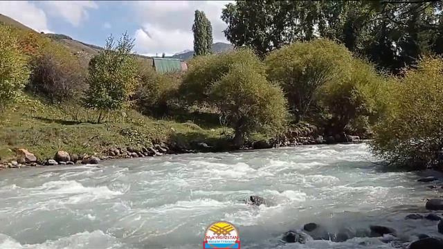 КАРАКОЛ ӨРӨНҮНДӨГҮ ПИКНИК ЖАНА ЖАРАТЫЛЫШТЫК КООЗДУКТАР | Kyrgyzstan tour смотреть онлайн