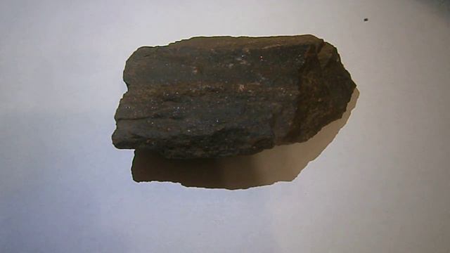 Окаменелое дерево смотреть онлайн