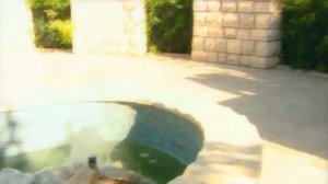 MUHABBAT SINOVLARI  2  Узбекистан 20 октября 2023 г.