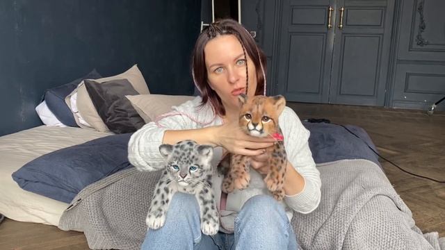Котята барсёнок и гепарденок смотреть онлайн