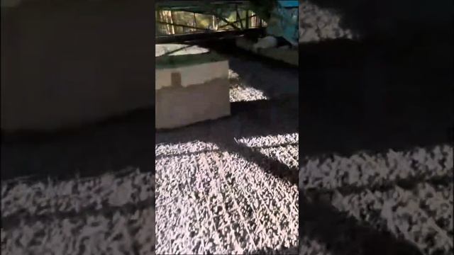 Монтаж кровельного пирога , с заливка стяжкой под мягкую кровлю ! смотреть онлайн