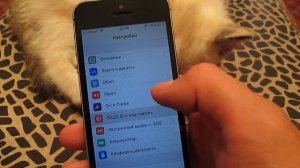 КАК ПОСТАВИТЬ ПАРОЛЬ НА IPHONE И ОТПЕЧАТОК ПАЛЬЦА