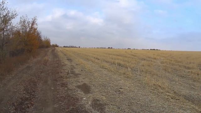 Бомжую под Волгоградом. Автопутешествие по России. Одиночное путешествие на автомобиле смотреть онлайн