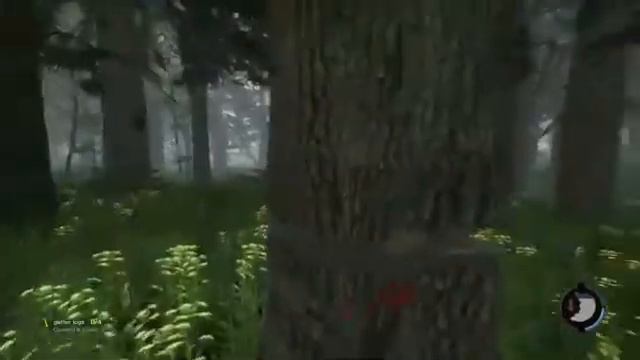 The Forest прохожденийе часть 1обаригени нападают смотреть онлайн