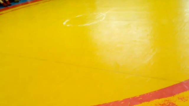 Соревнования по самбо смотреть онлайн