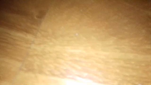 черный волк ? хахахахааз ?????? смотреть онлайн