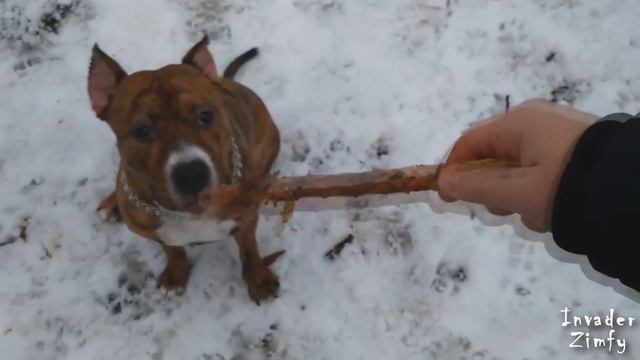 Влог не очем :З смотреть онлайн