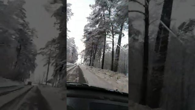 морозы пришли в Сибирь, красота!!! смотреть онлайн
