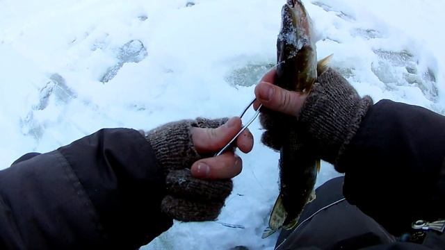 БИТВА?ПОВОДКОВ 2(ФЛЮР⚔️ МЕТАЛЛА).БЕШЕНЫЙ КЛЕВ ЩУКИ?НА ЖЕРЛИЦЫ В ГЛУХОЗИМЬЕ. смотреть онлайн