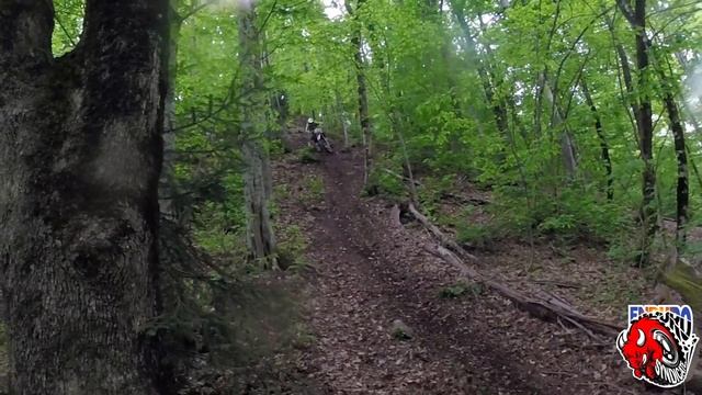 Тренировочное лайт кольцо / Light training loop смотреть онлайн