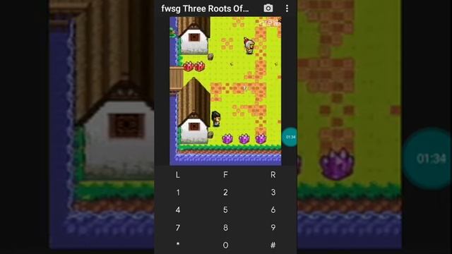 【JAVA GAMES】fwsg Three Roots Of Fung Mo Sword (China) HYBJN73.jar - J2me Loader смотреть онлайн