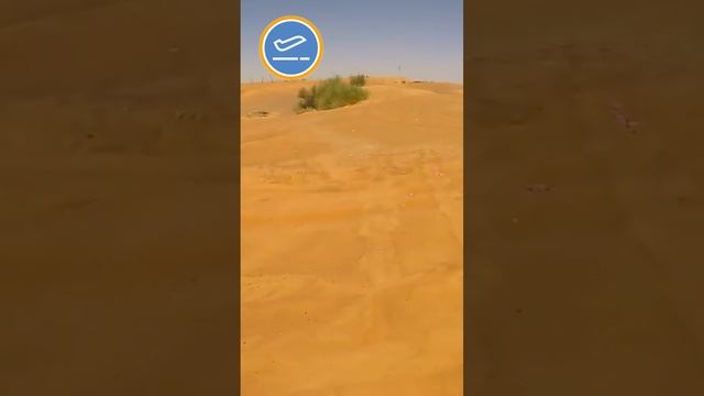 Катание по песчаным дюнам на автомобиле в Дубай #shorts смотреть онлайн