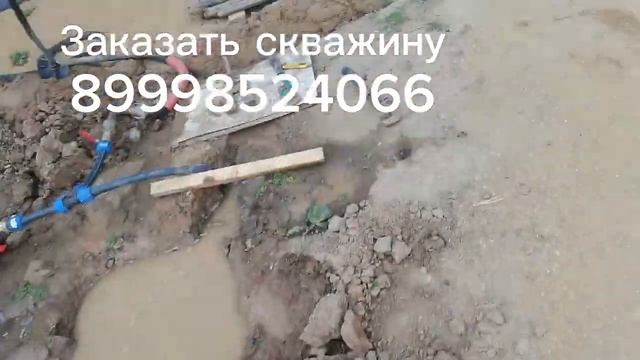 Абесинка с низкой статикой на берегу реки смотреть онлайн