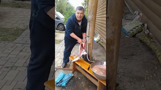 Рыба для ухи смотреть онлайн