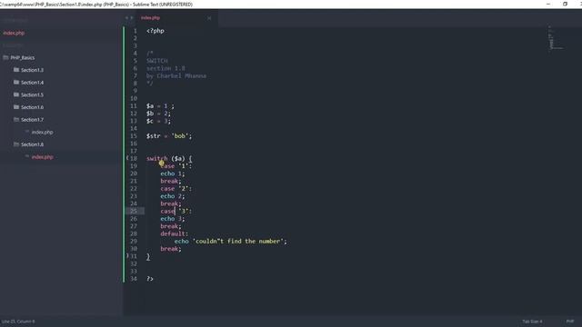 PHP Basics - Switch Case смотреть онлайн