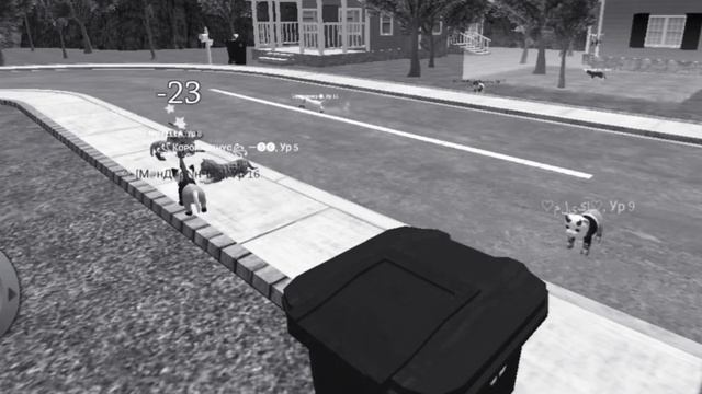 Камера видео наблюдение в Симулятор кота жизнь животных ?