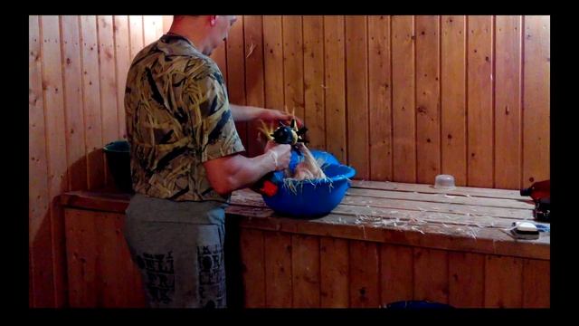 Перосъемная насадка смотреть онлайн