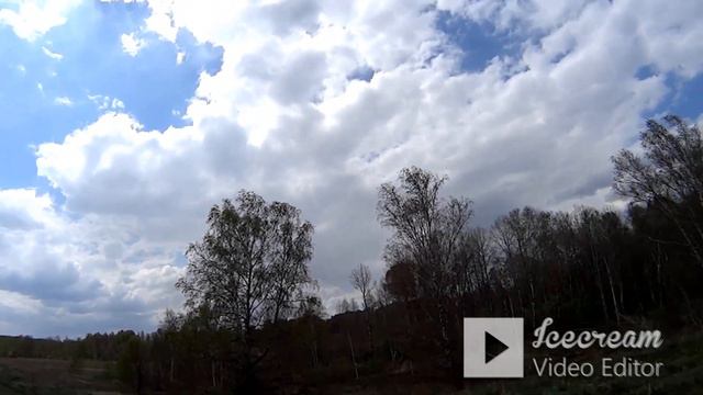 Бобры запрудили Мосиху, хариузов не будет