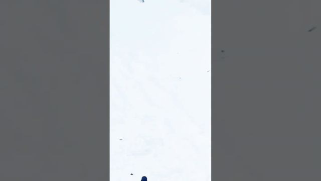 Люблю добрые пожелания# мудрые мысли# смотреть онлайн