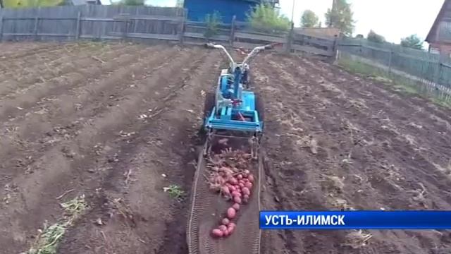 Изобретатель Усть Илимска смотреть онлайн