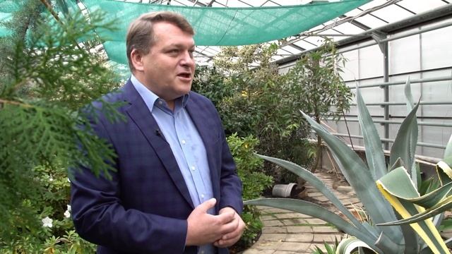 «Зеленая» энергия, или Как растения влияют на жизнь человека смотреть онлайн