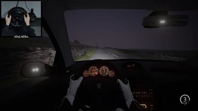 Peugeot 206 GTI (116HP) | Assetto Corsa | Thrustmaster T300RS Gameplay смотреть онлайн