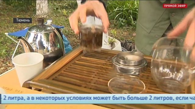 Второй фестиваль китайского языка и культуры состоялся в Тюмени смотреть онлайн