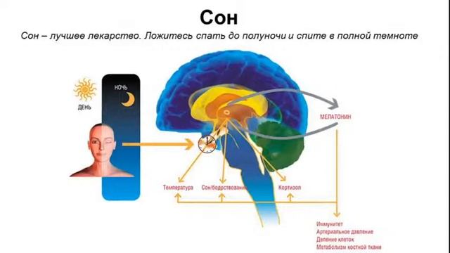 Копия видео "► Три причины наладить сон. Как с помощью простых правил вернуть хороший сон." смотреть онлайн