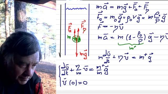 ЧК_МИФ_1_2_3_1__(L3)__ ОБЫКНОВЕННЫЕ ЛИНЕЙНЫЕ ДИФФЕРЕНЦИАЛЬНЫЕ УРАВНЕНИЯ С ПОСТОЯННЫМИ КОЭФФ--МИ смотреть онлайн