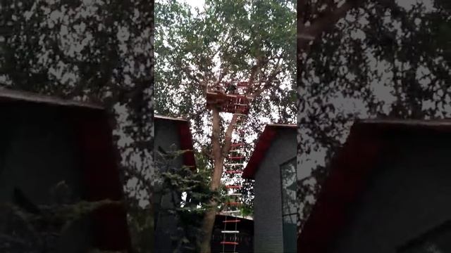Adventure park games(4) смотреть онлайн