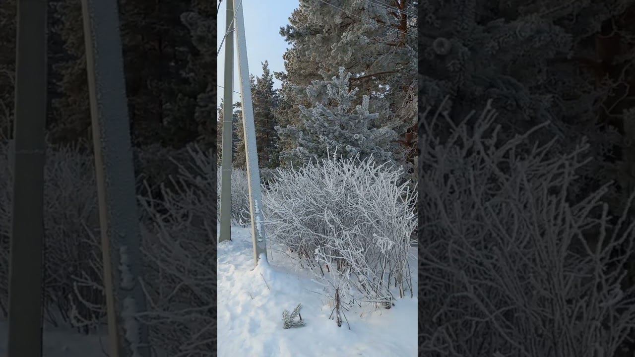 Художник Дед мороз смотреть онлайн