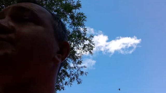 37й рабочий день, приехал новый человек к ним в бригаду, пошёл показать ему магазин, а п-м б-а э-си смотреть онлайн
