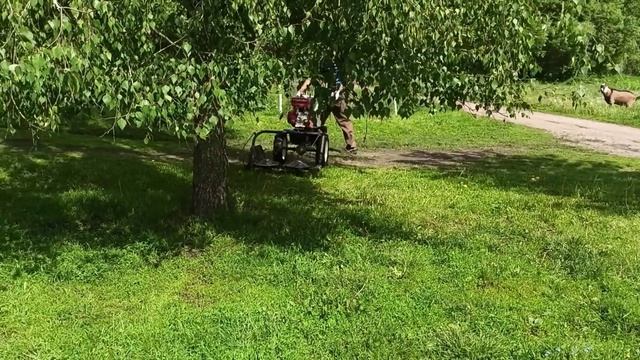 Косилка Заря! Косим газон как футбольное поле??? смотреть онлайн