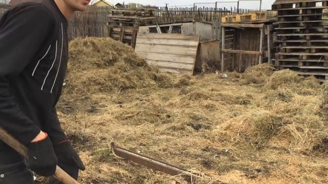 Куры! Уборка! Экономист в навозной телеге! смотреть онлайн