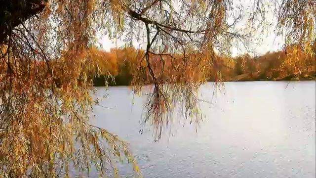 Фредерік Шопен "Вальс до мінор №7". смотреть онлайн