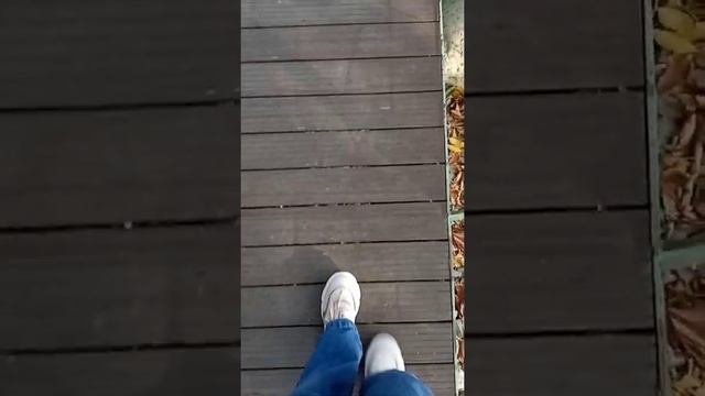 Baku Zoo Park / Бакинский Зоопарк / Bakı Zooloji Park смотреть онлайн