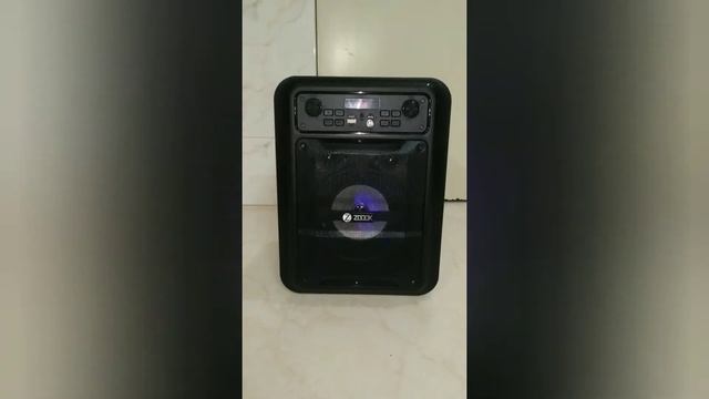 Zoook Rocker Thunder Pro 30 Watt Bluetooth Speaker Review | Bluetooth Speaker Under 3000 смотреть онлайн