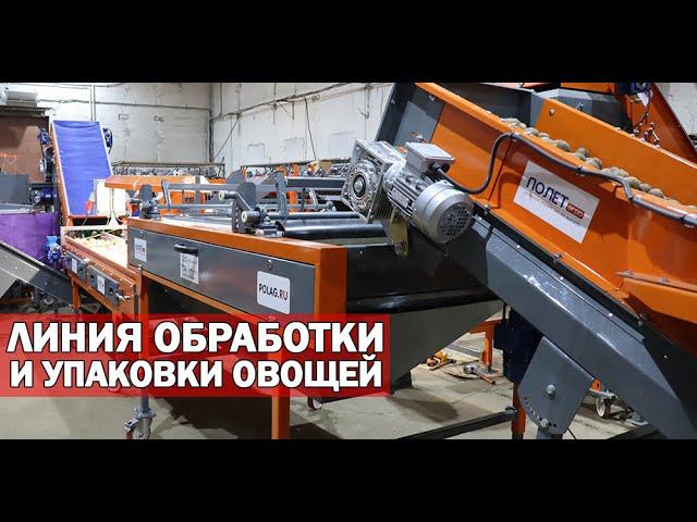 Обработка и упаковка овощей (видео) смотреть онлайн