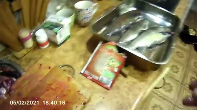 Сегодня поймал форель и начал.... смотреть онлайн