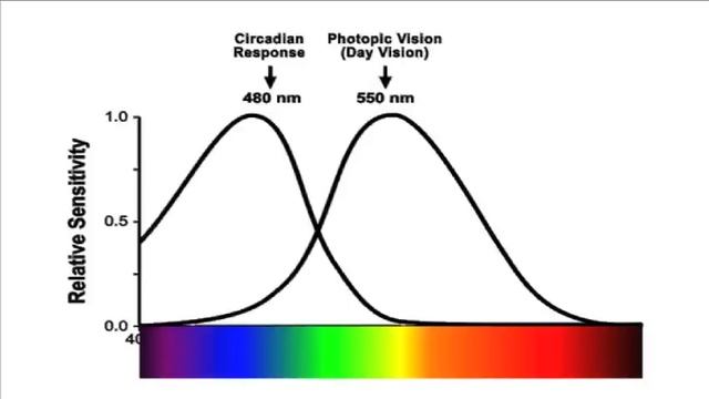 Rogier van der Heide: Why light needs darkness смотреть онлайн