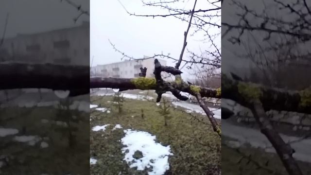 БЕЛАРУСКАЯ ДЕРЕВНЯ 23 Февраля. 3 поры года в одном видео. СКОРО ЧЕТВЁРТАЯ Пора! Весна! смотреть онлайн